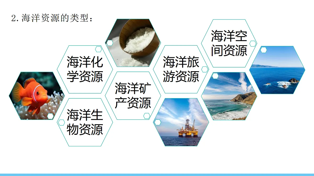 17325259第5页