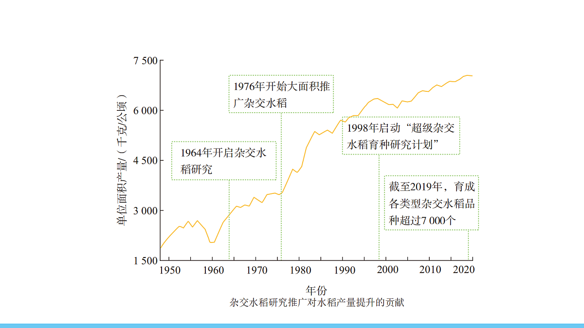 17325261第6页