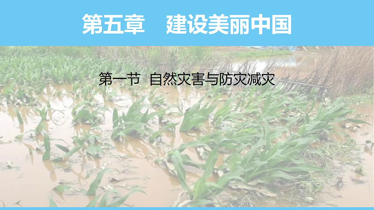 17325264第1页