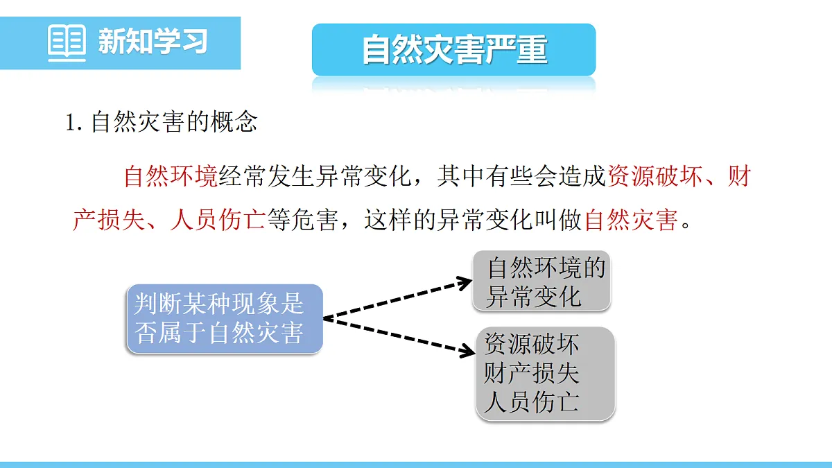 17325264第4页