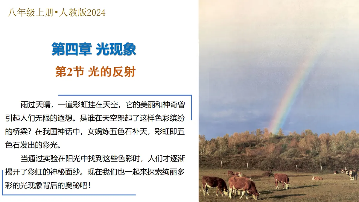 17325491第1页