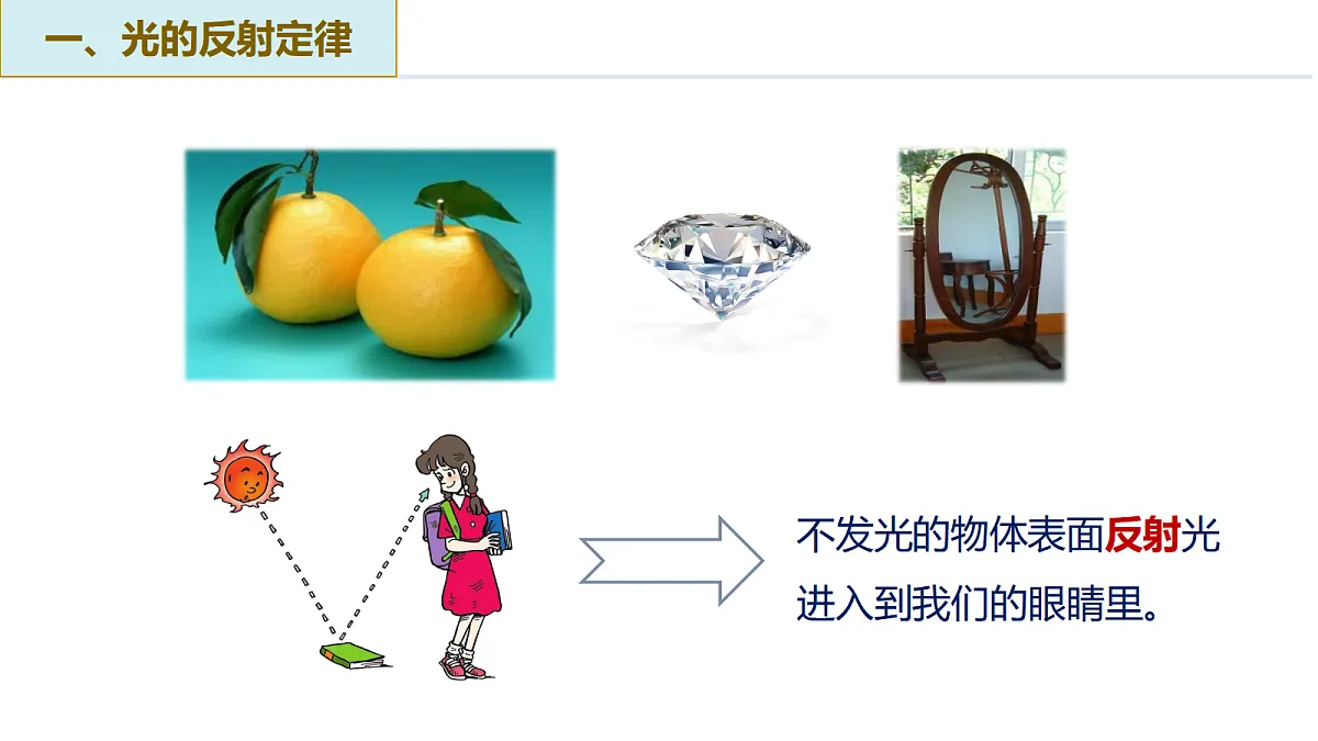 17325491第8页