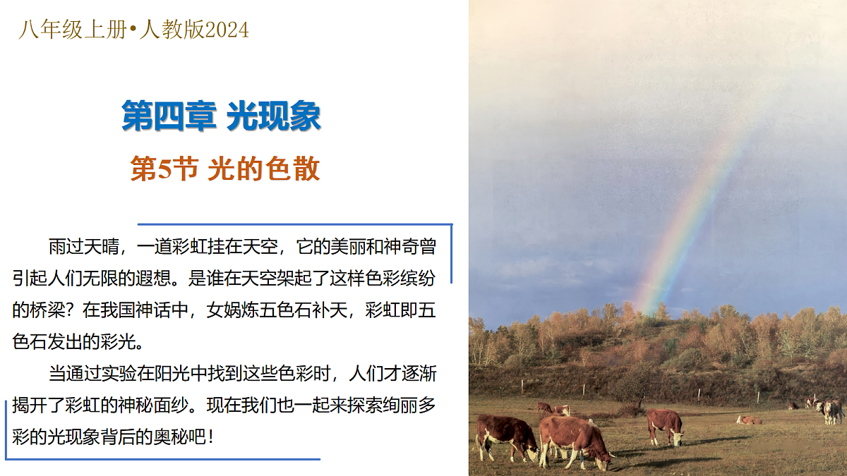 17325495第1页