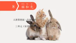 人教鄂教版科學一年級上冊 8 貓和兔（課件）
