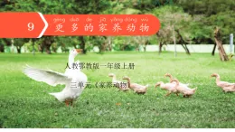 人教鄂教版科學一年級上冊 9 更多的家養(yǎng)動物（課件）