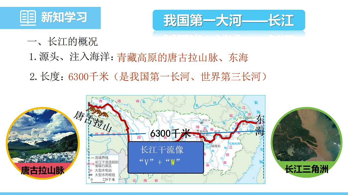 17325629第4页