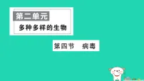 初中生物人教版（2024）七年级上册（2024）病毒作业课件ppt