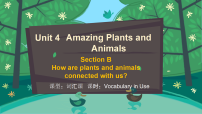 人教版（2024）八年级上册（2024）Unit 4 Amazing Plants and Animals Section B Vocabulary in Use教学课件ppt