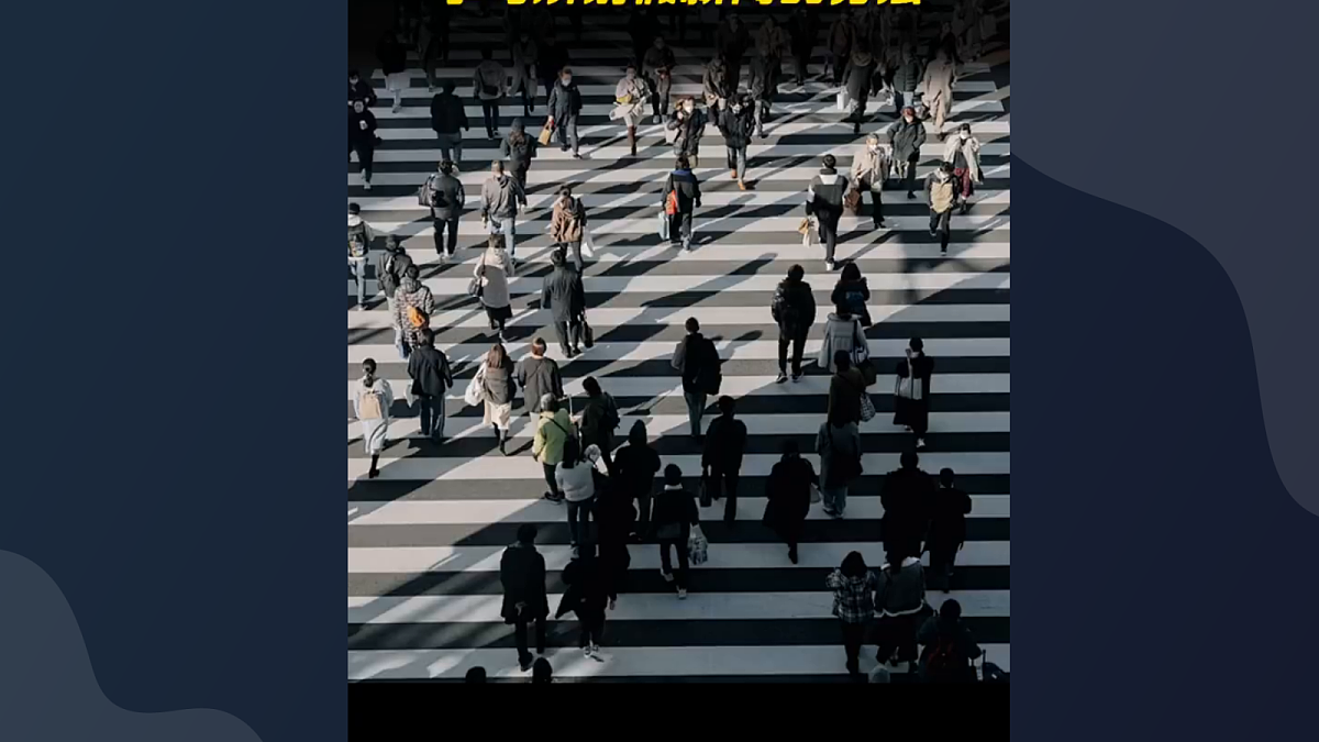 17326130第3页