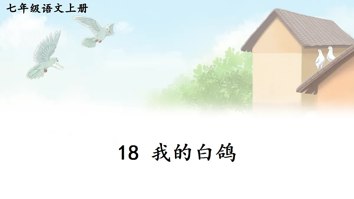 18 我的白鸽【课件】第1页