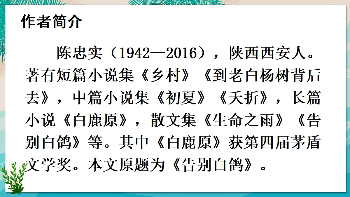 18 我的白鸽【课件】第3页