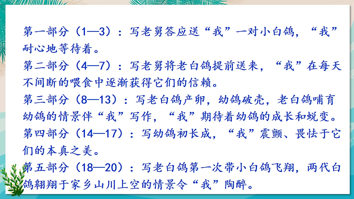 18 我的白鸽【课件】第6页