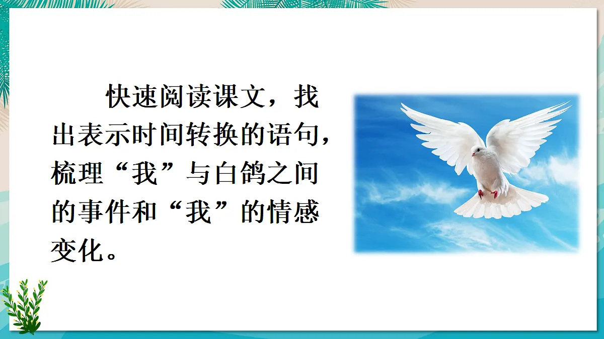 18 我的白鸽【课件】第7页
