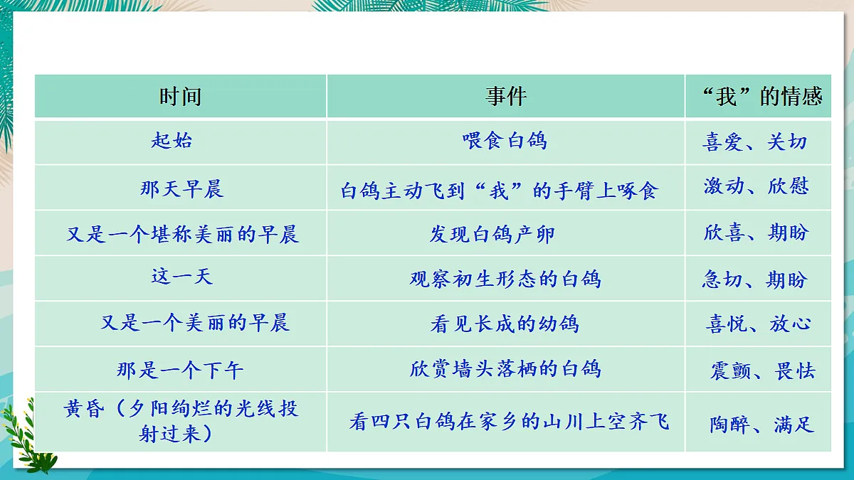 18 我的白鸽【课件】第8页