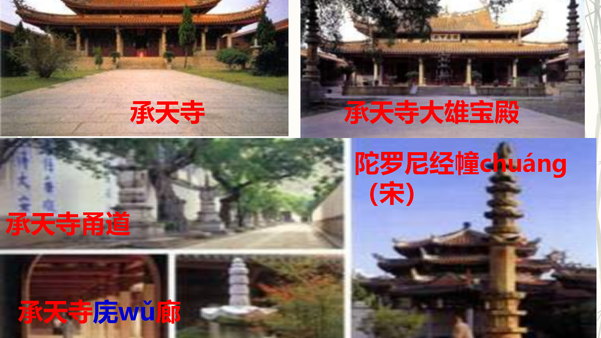 17327844第5页