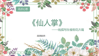 学前教育大班《仙人掌》课件