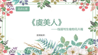 学前教育大班《虞美人》课件