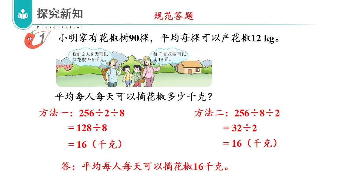 17328283第8页