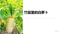 学前教育大班《竹篮里的白萝卜》课件