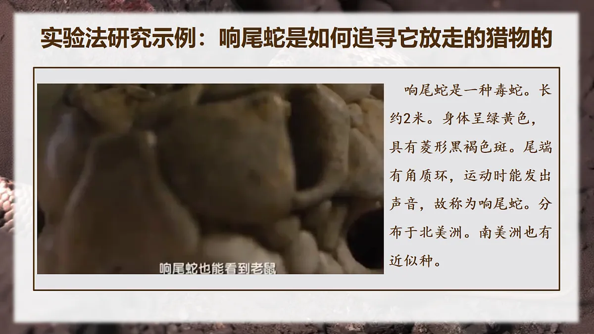 17328709第2页