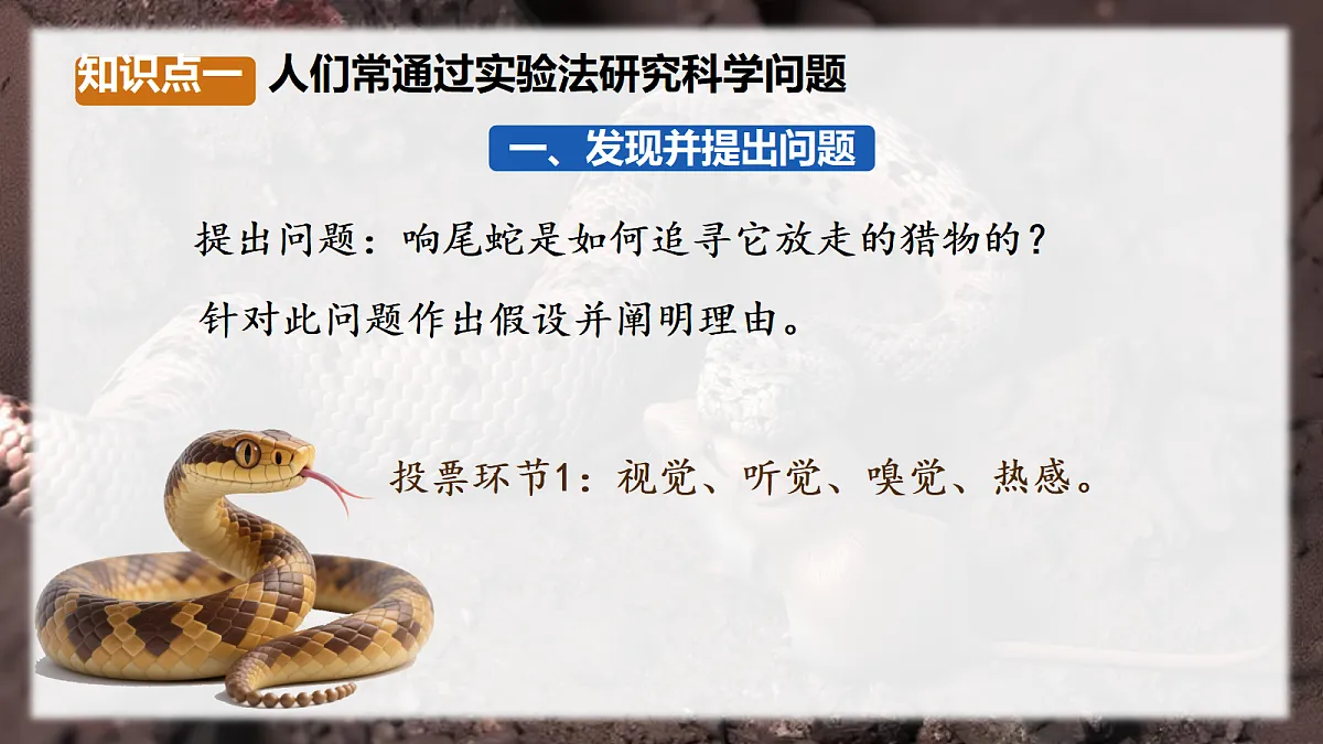 17328709第3页