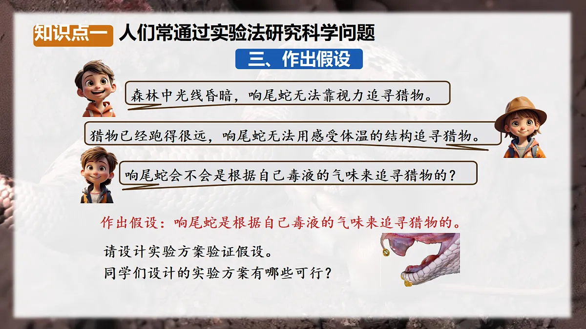 17328709第5页