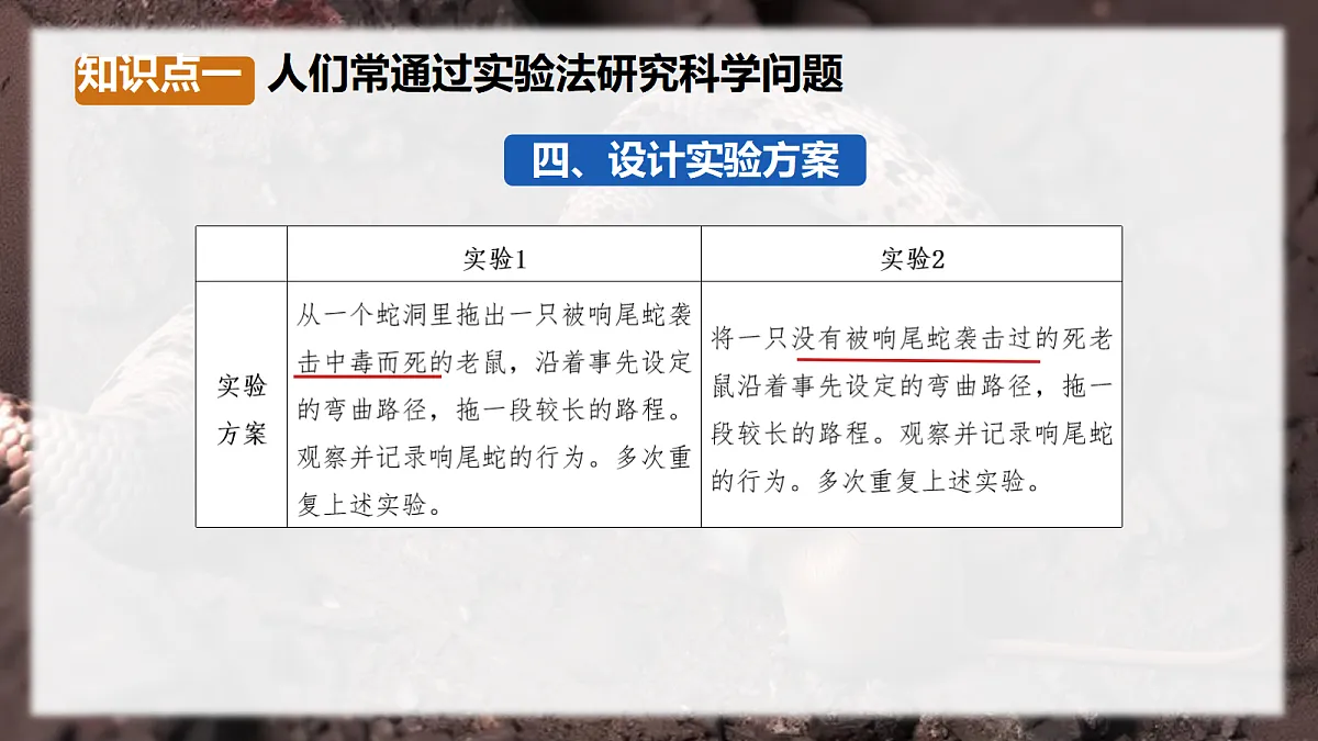 17328709第6页