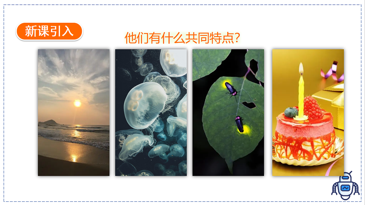 17328826第3页