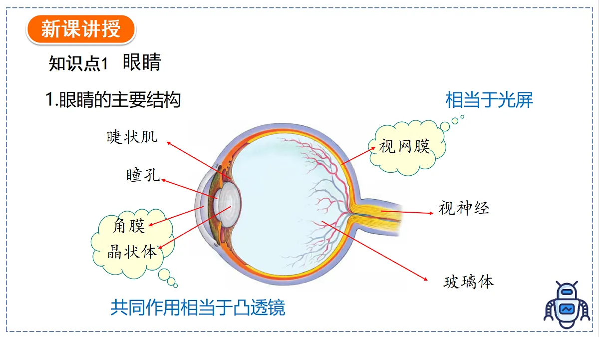 17328991第4页