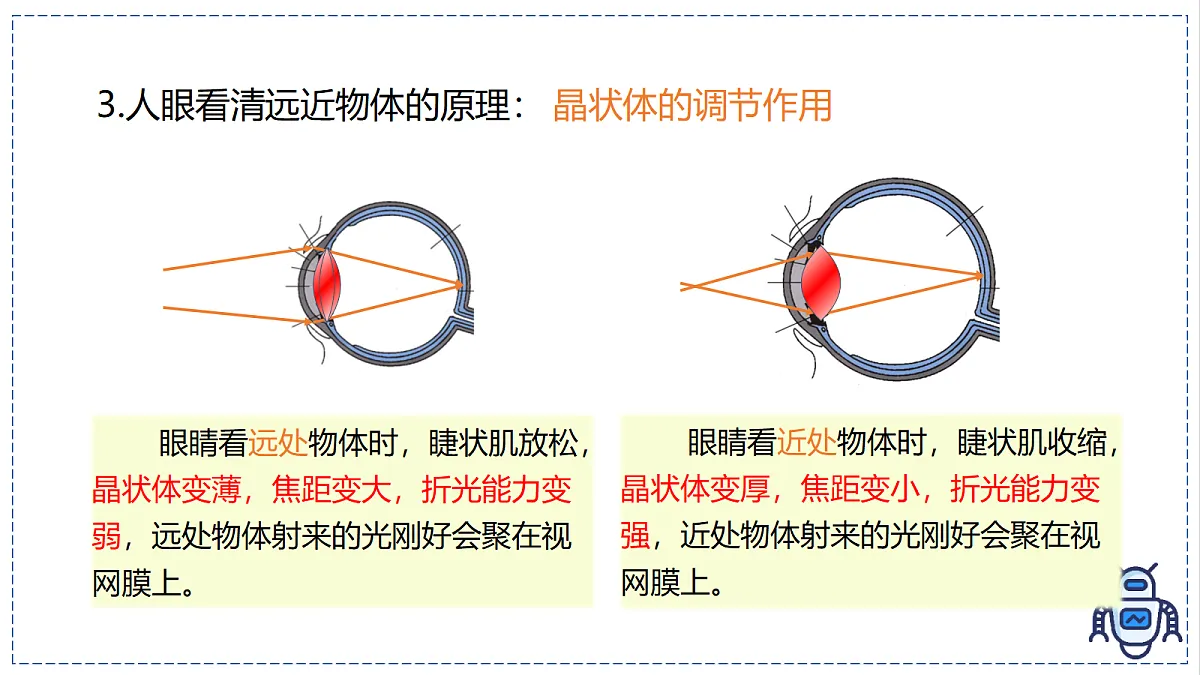 17328991第7页