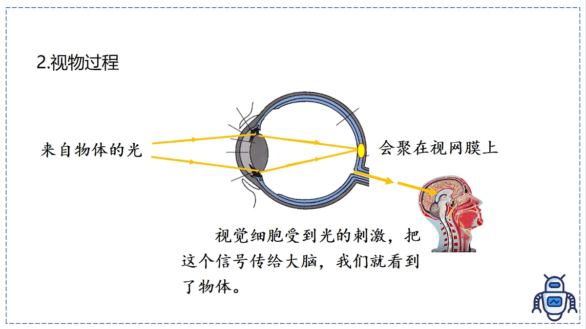 17328992第5页