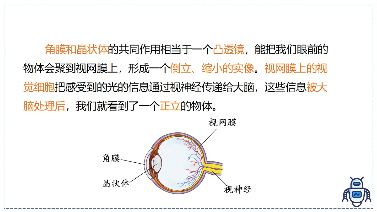 17328992第6页