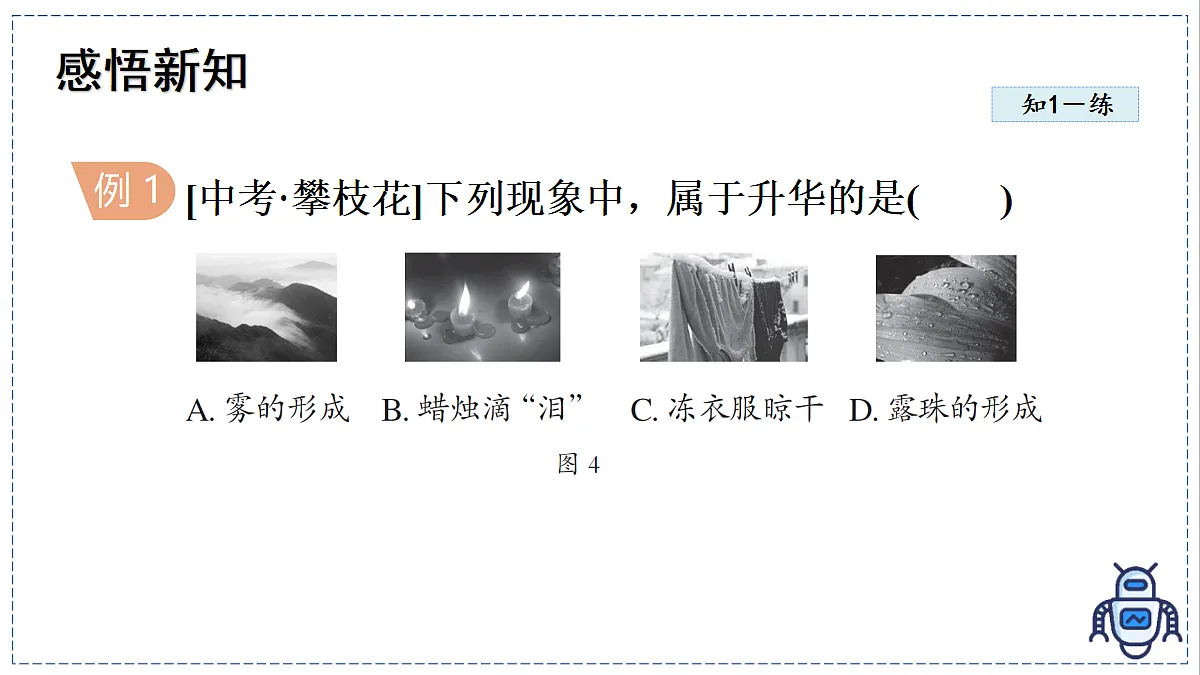17329013第7页