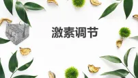 初中生物人教版（2024）八年级上册（2024）第四单元 人体生理与健康（二）第六章 人体生命活动的调节第四节 激素调节教学ppt课件