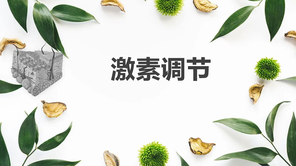 17329028第1页