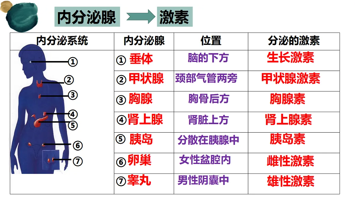 17329028第4页