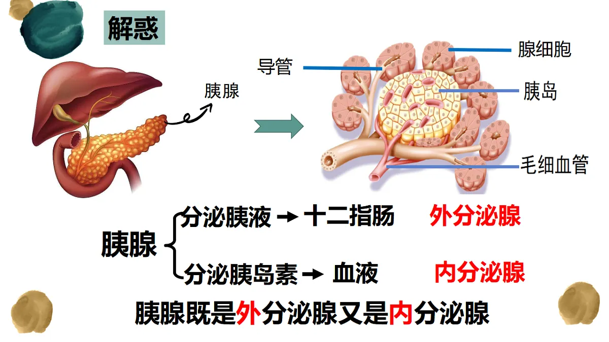 17329028第5页