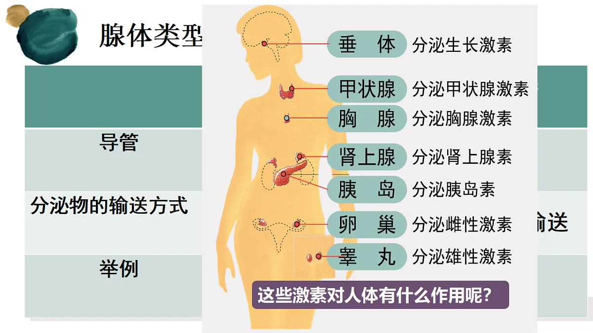 17329028第6页