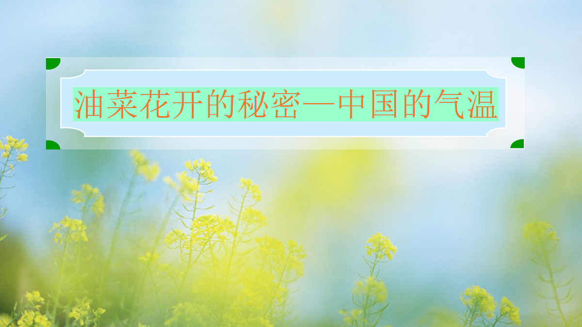 17329173第1页
