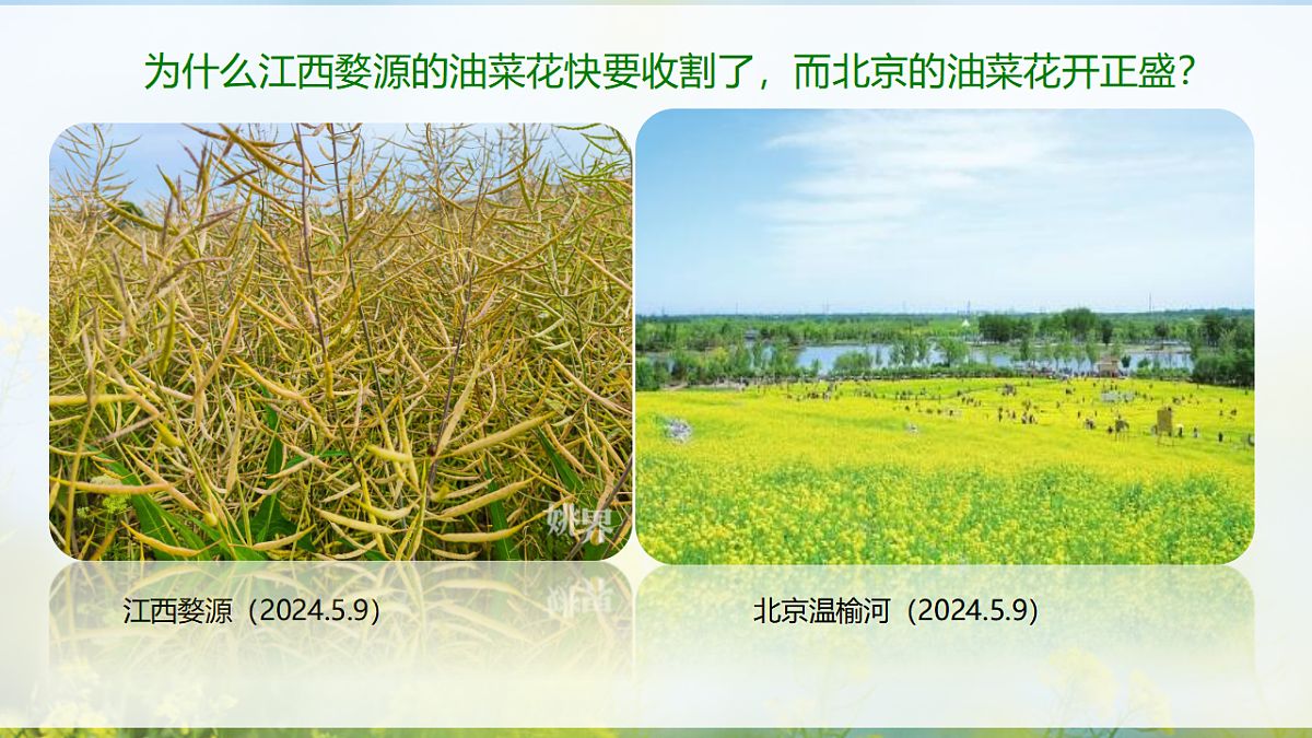 17329173第3页