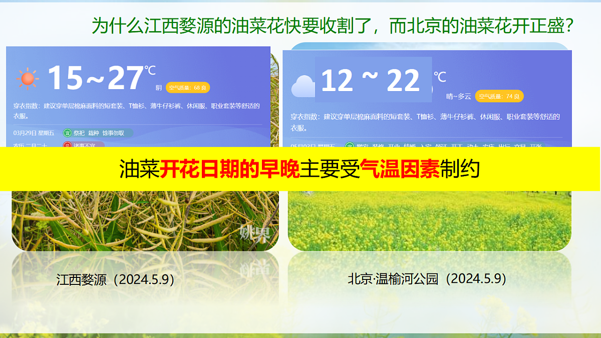 17329173第4页