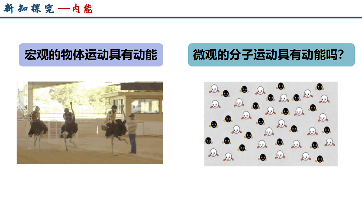 17329177第3页