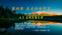 教科版(2024)八年级上册(2024)光的反射定律图片课件ppt