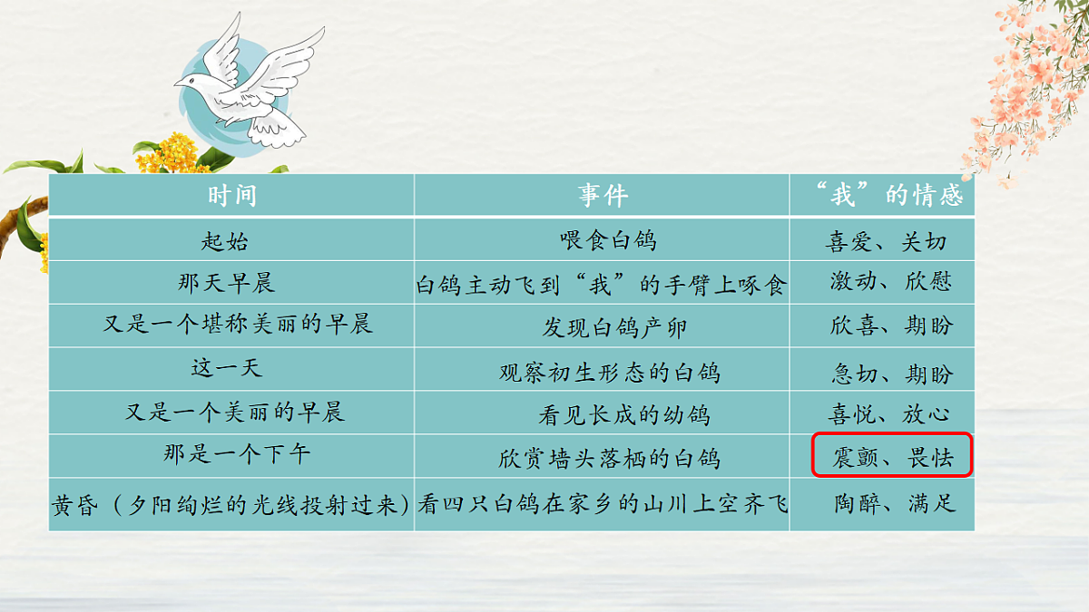 17329316第5页