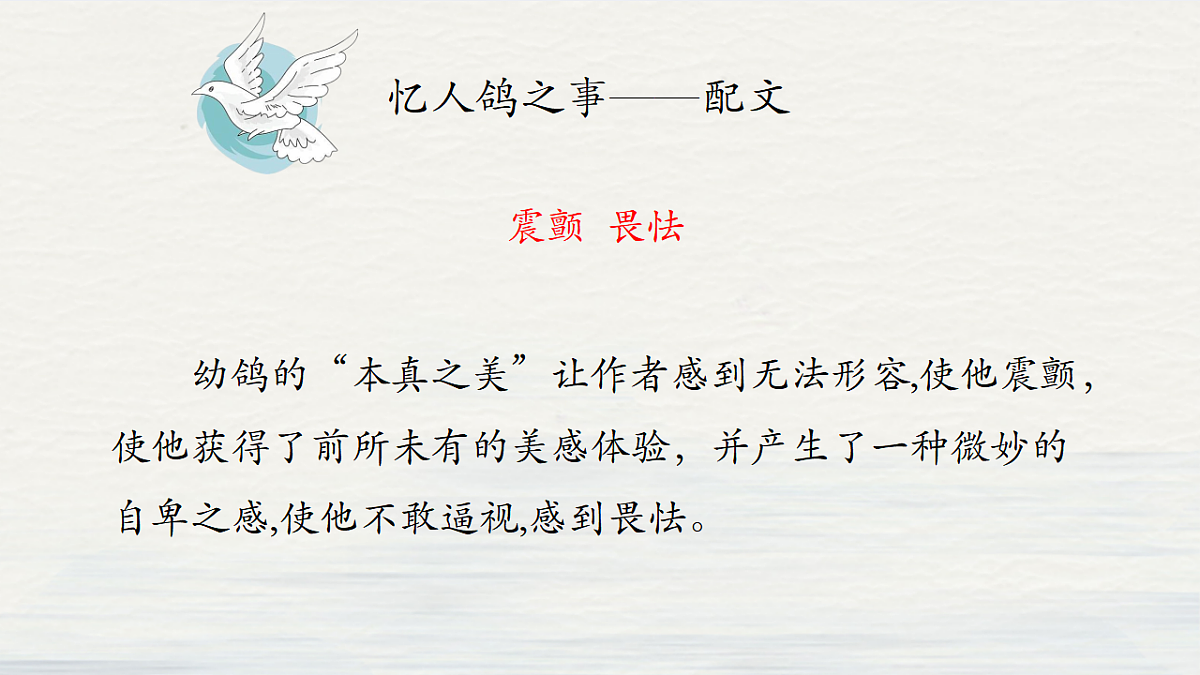 17329316第6页