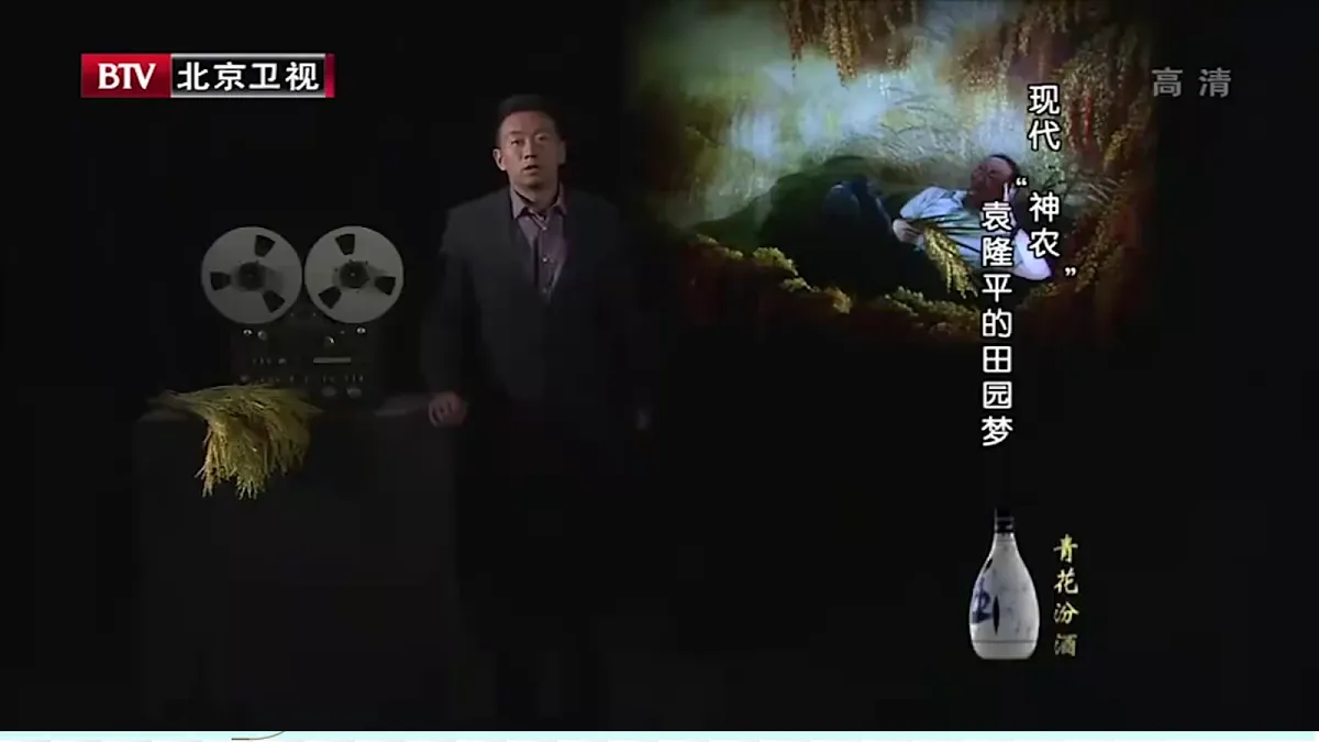 17329561第4页