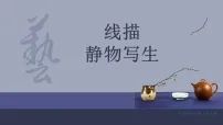 学前教育大班《静物写生》课件