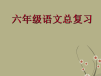 2025六年级小升初语文复习 课件