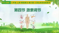 初中生物人教版（2024）八年级上册（2024）第四节 激素调节课堂教学课件ppt
