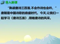 唐詩五首野望 課件人教部編版語文八年級上冊